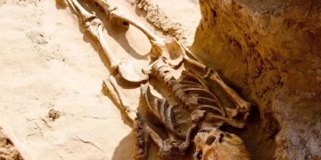 Idade Katuas Ba Daudaun, Governu Laiha Seriedade Buka Restu Mortais