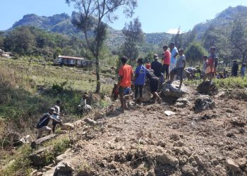 Komunidade 1.242 Voluntariu Loke Estrada