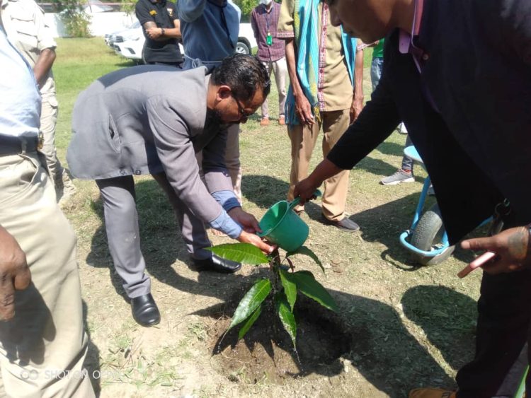 MAP Kuda Ai-Oan Hodi Hasa’e Aifuan Nutrisaun Ba Ema Hotu