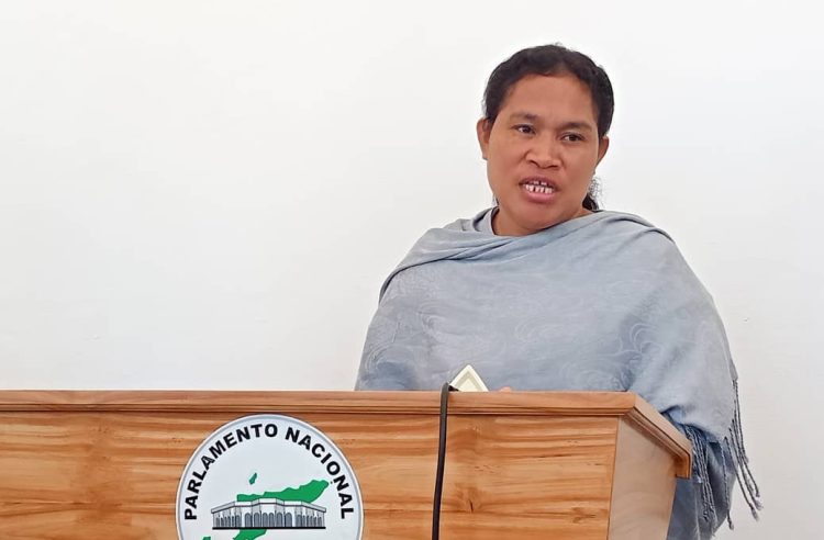 Ratifikasaun: “Polemika Vizita PR Horta Iha Artigu Ualu KRDTL”