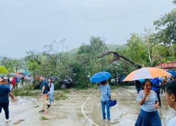 Anin Mak’as Akompaña Udan, Hafanu Palasiu Governu