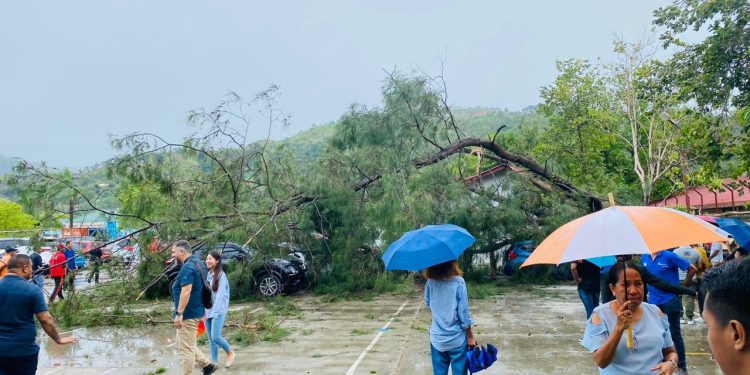 Anin Mak’as Akompaña Udan, Hafanu Palasiu Governu