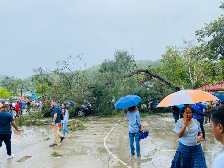 Anin Mak’as Akompaña Udan, Hafanu Palasiu Governu