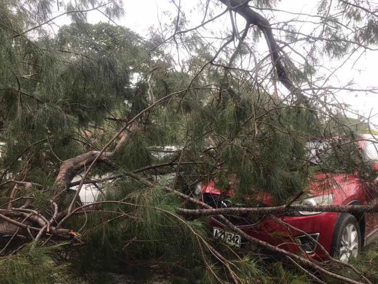 Anin Mak’as Akompaña Udan, Hafanu Palasiu Governu