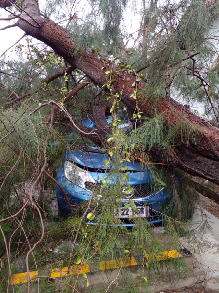 Anin Mak’as Akompaña Udan, Hafanu Palasiu Governu