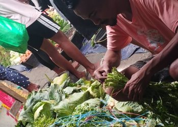 Programa Sesta Bazika Halo Modo Taibesi La-Folin