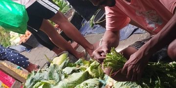 Programa Sesta Bazika Halo Modo Taibesi La-Folin