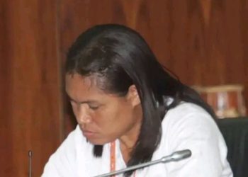 Partisipasaun Feto Menus Ba Dezievolvimentu  TL