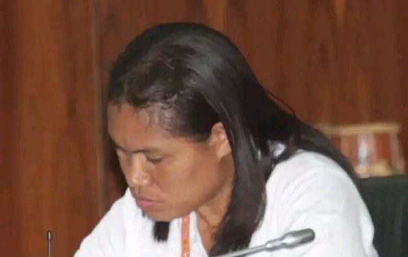 Partisipasaun Feto Menus Ba Dezievolvimentu  TL