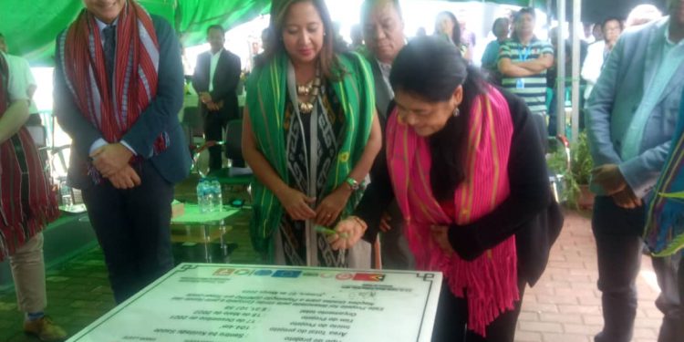 Kombate VBJ,  MS-UNFPA  Hahú Lansa Uma  Seguru  Iha Gleno