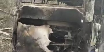 Ahi Sunu Mutuk Bis  Babadok Express