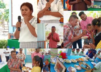 Fornese Ai-han Nutritivu,  Hamenus Malnutrisaun