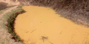 Kontenti Ho Konservasaun Bee, Komunidade Agradese Ba Tilofe