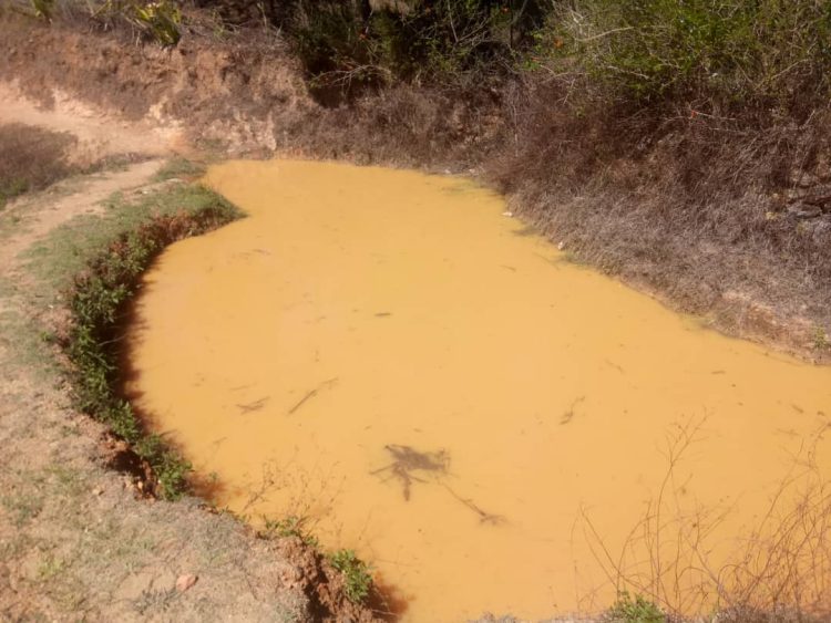 Kontenti Ho Konservasaun Bee, Komunidade Agradese Ba Tilofe