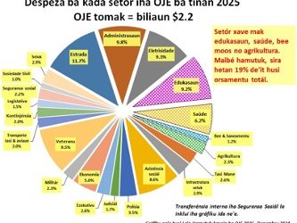 Observasaun no Analiza ba Orsamentu Jerál Estadu 2025 (Setór Agrikultura kontinua la sai Prioridade)