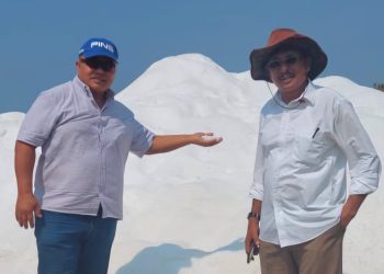 TL Berminat Jalin Kerja Sama  Perusahaan Garam Di Kabupaten Sabu Raijua, NTT