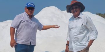 TL Berminat Jalin Kerja Sama  Perusahaan Garam Di Kabupaten Sabu Raijua, NTT