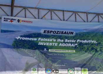 Diversifika Ekonomia, Dezemvolve Produtu Foinsa’e