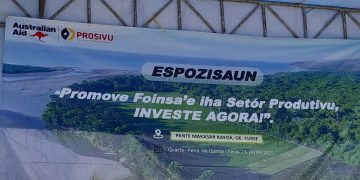 Diversifika Ekonomia, Dezemvolve Produtu Foinsa’e