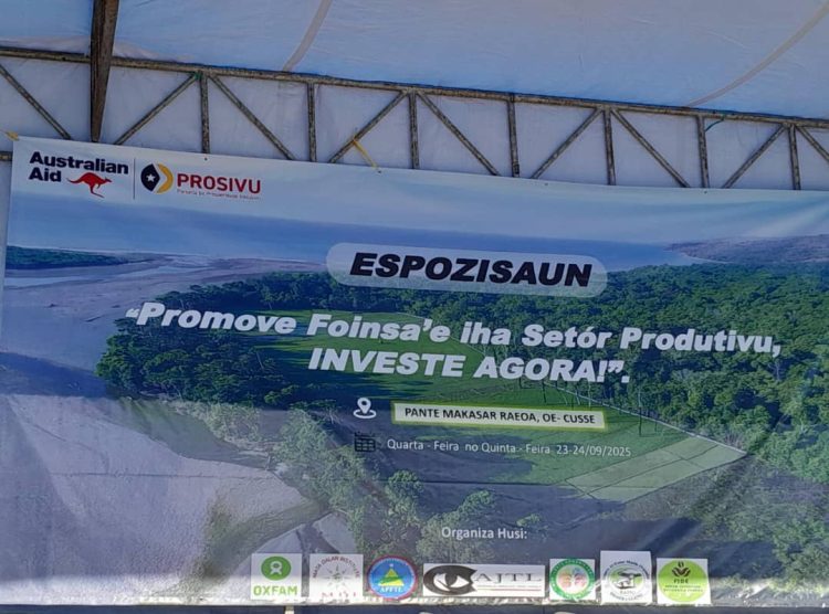 Diversifika Ekonomia, Dezemvolve Produtu Foinsa’e