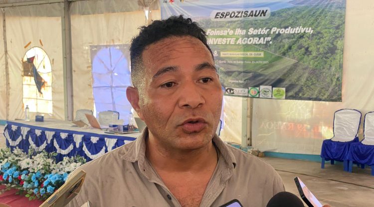 TL 30% Maioria Joven Ho Idade Produtivu,  Ajente Dezenvolvimentu Menus Estratejia Fornese Kampu Traballu